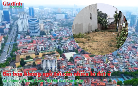 Giá bán không ngờ tới của nhiều lô đất ở tại phường Thanh Xuân, Hà Nội sau sáp nhập