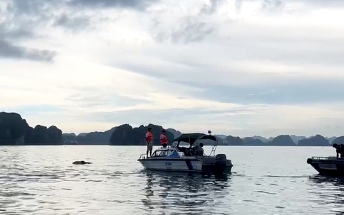 Tìm thấy thi thể nữ nghi là nạn nhân vụ lật tàu tại vịnh Hạ Long
