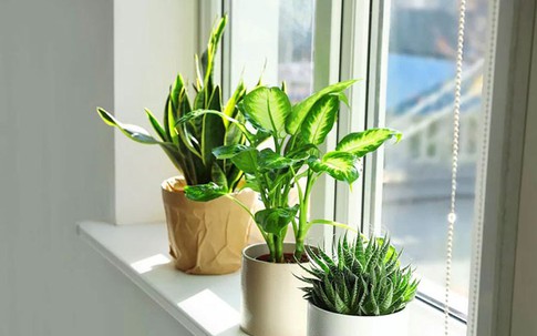 Cách tận dụng nguồn năng lượng đặc biệt của tháng 6 nhuận để kích hoạt may mắn, thịnh vượng