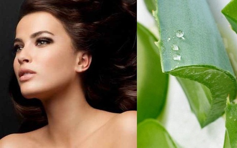 Ủ tóc bằng nha đam có tác dụng gì?