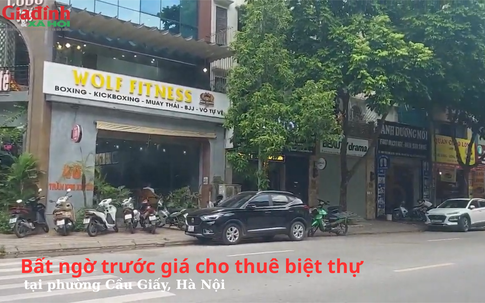 Bất ngờ trước giá cho thuê biệt thự tại phường Cầu Giấy, Hà Nội