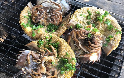 Đặc sản đắt hơn tôm, ghẹ, thuộc dạng quý hiếm ở Quảng Ninh: Bộ phận nào cũng nấu được, vị 'kén người ăn'