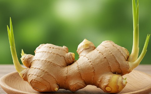 Bình gừng nảy lộc dễ làm nhưng là 'phép màu' phong thủy mang lại may mắn, xua đuổi vận xui cho nhà ở và nơi làm việc