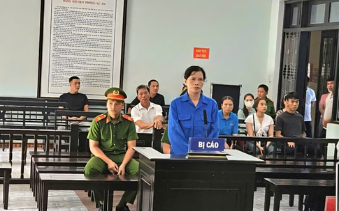 Nữ giám đốc 'giúp sức' chiếm đoạt hàng chục tỷ đồng
