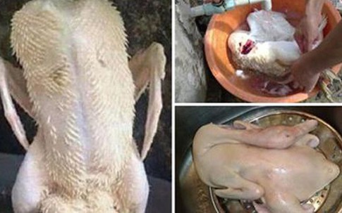 Chỉ cần dùng thứ này thả vào chậu nước, đảm bảo bạn có thể làm sạch lông măng vịt rất nhanh, vịt hết sạch mùi hôi