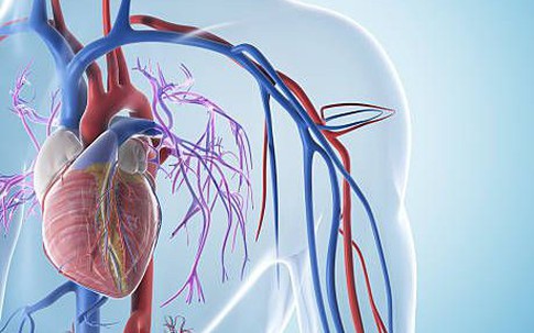 6 thói quen buổi sáng khiến tim ‘kêu cứu’ – bạn có đang mắc phải?