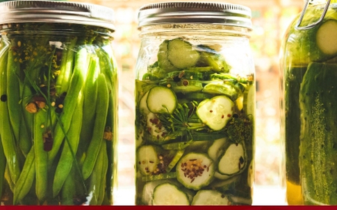 Dưa muối từng giúp những người Mỹ đầu tiên sống sót thế nào?