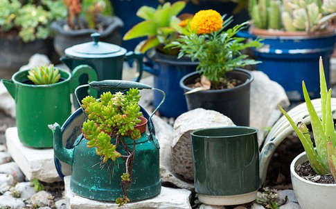 Thiết kế không gian sống với các vật liệu tái chế thân thiện môi trường