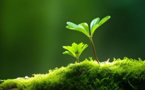 Ngày sinh Âm lịch của người khôn ngoan, hậu vận cực kì thịnh vượng