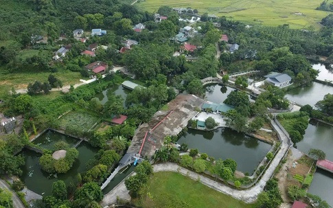 Phú Thọ: Cuộc sống cư dân bị đảo lộn vì trại gà vạn con ngự giữa thôn