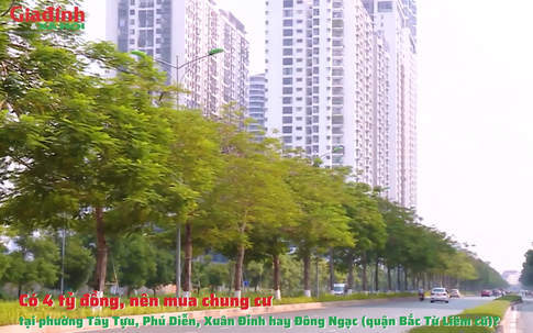 Có 4 tỷ đồng, nên mua chung cư tại phường Tây Tựu, Phú Diễn, Xuân Đỉnh hay Đông Ngạc (quận Bắc Từ Liêm cũ)?