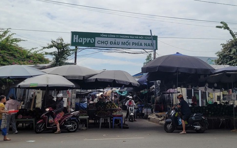 Trước bão Ragasa, giá rau xanh chợ đầu mối phía Nam chỉ từ 5.000 đồng/bó