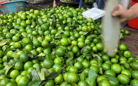 Bão Ragasa vào đất liền: Chi 5.000 đồng, người đi chợ chỉ nhận về 2 quả chanh