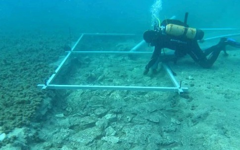 Phát hiện điều không tưởng 7.000 năm tuổi dưới lòng Địa Trung Hải