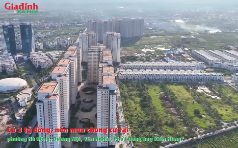 Có 3 tỷ đồng, nên mua chung cư tại phường Hà Đông, Dương Nội, Yên Nghĩa, Phú Lương hay Kiến Hưng?