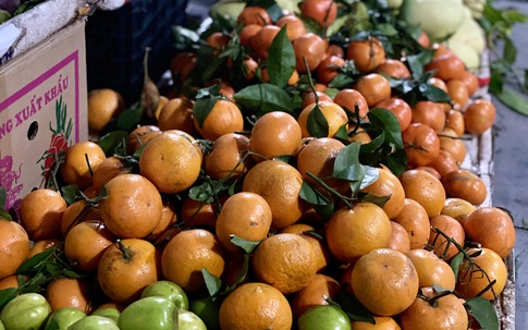 Một loại cam Trung Quốc đổ bộ chợ Việt giá rẻ bèo, được người tiêu dùng ưa chuộng