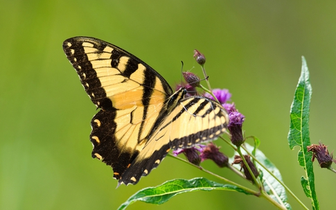Số cuối ngày sinh Âm lịch hé lộ ai là người 'đổi đời' từ trung vận