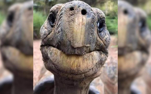 Con vật già nhất hành tinh