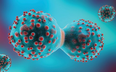 Loại củ ăn mùa đông làm ấm nóng cơ thể, người Việt nên ăn để ngăn ngừa tế bào ung thư