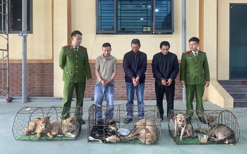 Bắt nhóm trộm chó mang theo hung khí để chống trả