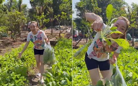 Khu vườn xanh mướt mắt nhà Chi Bảo và vợ trẻ khiến nhiều người ao ước