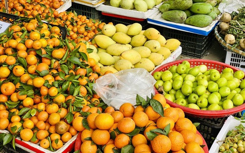 Nhiều loại quýt Trung Quốc đang 'đột lốt' hàng Việt bán tràn ngập thị trường