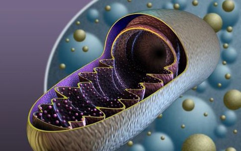Người phụ nữ 45 tuổi bị 'đột quỵ giả’ do mắc bệnh di truyền ít gặp