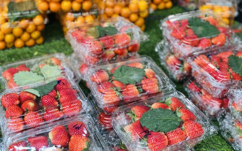 Loại quả trước đây chỉ 'nhà giàu' mới dám ăn giờ bán đầy vỉa hè giá rẻ khó tin