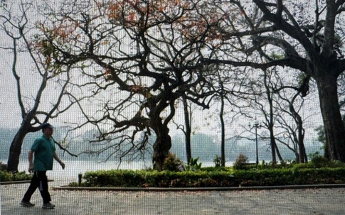 Tin sáng 24/1: Miền Bắc ấm dần từ nay đến cuối tháng 1; 10 hành vi bị coi là trốn thuế theo quy định mới