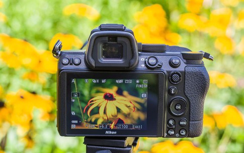 Cách chụp hoa đẹp ngày Tết để may mắn, thịnh vượng