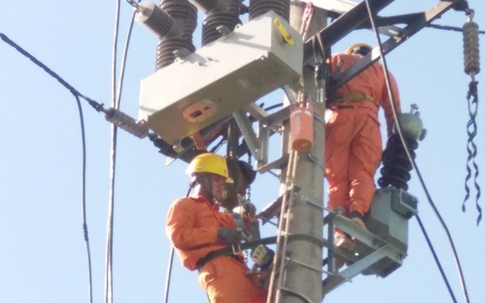 Lịch cúp điện Vĩnh Long (Trà Vinh cũ) từ ngày 28/1 – 1/2/2026: Những khu dân cư nào sẽ bị mất điện liên tục?