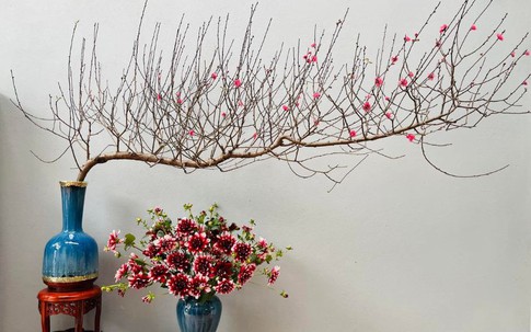 Mẹo chọn đào đẹp và phong thủy cho ngày Tết 2026