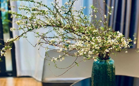 Cách cắm hoa tuyết mai đẹp trang trí nhà cửa Tết 2026