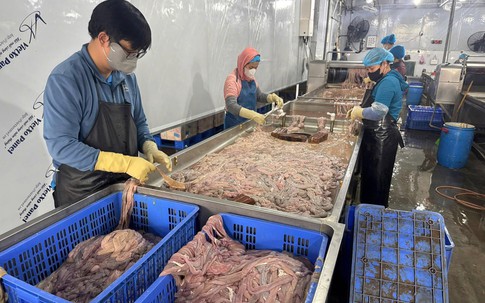 Phòng An ninh kinh tế - Công an Hà Nội triệt phá kho lạnh chứa hơn 63 tấn lòng lợn 'bẩn' 