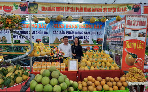 Thành phố Hà Nội tổ chức Lễ hội, Hội chợ Xuân Bính Ngọ 2026 quy mô như thế nào?