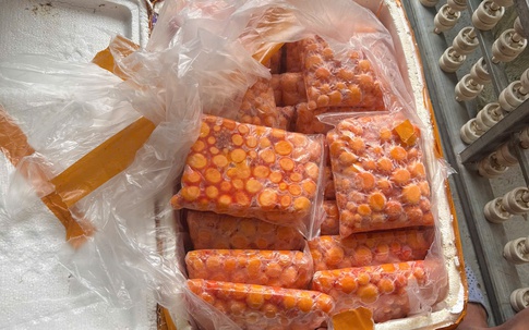 Hà Nội: Chặn đứng 3 xe container chở hơn 12 tấn 'đặc sản' sụn gà, trứng non không rõ nguồn gốc