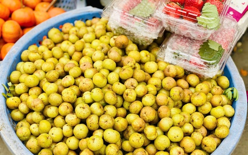 Loại quả rừng vị “khổ trước sướng sau” bất ngờ thành món đặc sản được nhiều người “săn đón”