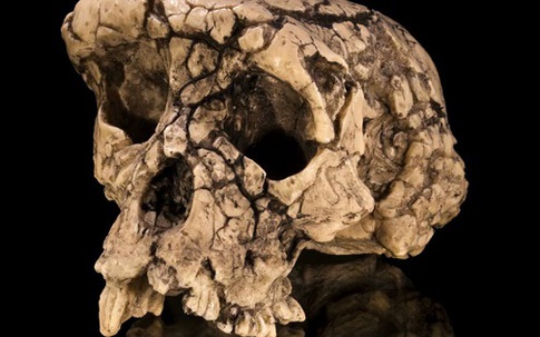 Hài cốt bí ẩn này có thể là tổ tiên sớm nhất của loài người