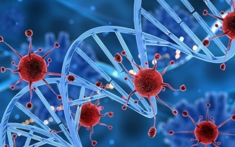 5 vị trí tế bào ung thư dễ 'đột nhập', người Việt nên hiểu đúng để ngừa bệnh từ sớm