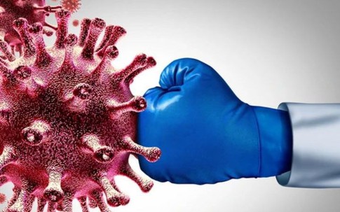 Loại quả ngọt thơm có công dụng hỗ trợ ngăn ngừa tế bào ung thư, người Việt nên ăn đúng cách để phòng bệnh