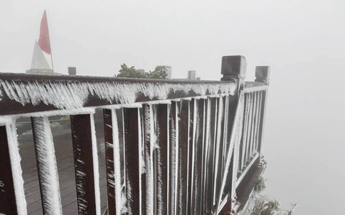 Video: Băng giá phủ kín đỉnh Fansipan khi nhiệt độ giảm sâu -3 độ