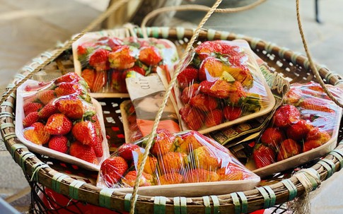 Dâu tây Trung Quốc bán tràn ngập thị trường, người tiêu dùng cần lưu ý điều này để không bị "qua mặt"