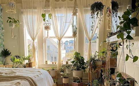 Cách trang trí cửa sổ bằng cây xanh độc đáo, giúp không gian sống trở nên tươi mới