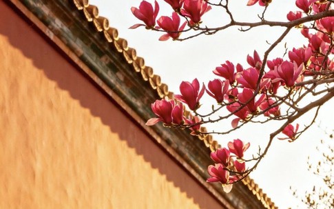 Giờ sinh Âm lịch của người tốt tính, đi đâu cũng được yêu quý