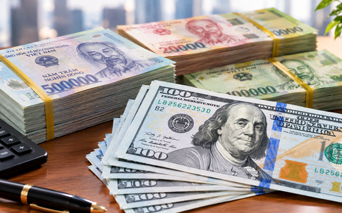 Tỷ giá USD hôm nay 19/10: USD trong nước chững giá, có nên mua USD lúc này?