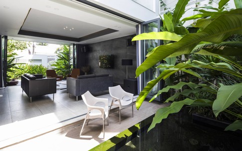 Vị trí đặt cây xanh giúp gia chủ thu hút vượng khí
