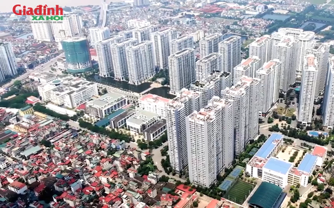 Giá chung cư phường Vĩnh Tuy biến động như thế nào sau khi có quy định về niên hạn sử dụng?