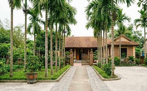 Loài cây hấp thụ độc tố và bụi bẩn lại mang ý nghĩa bình an trong cuộc sống 