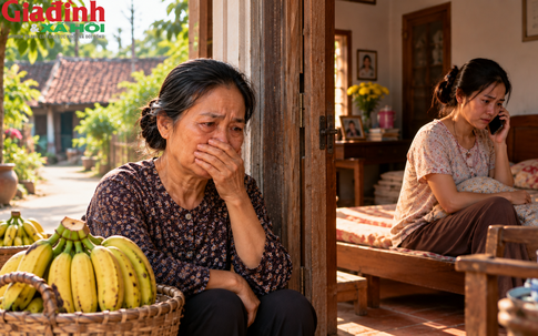 Trách con dâu vô tâm, tôi lặng người khi nghe được cuộc điện thoại của con với mẹ đẻ