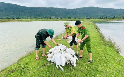 Hà Tĩnh tiêu hủy hơn 52.400 dụng cụ đánh bắt chim trời